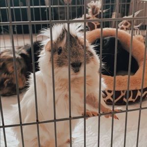 Meet your Posher, Keira